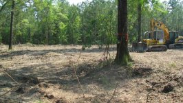 654911-Root Rake.jpg