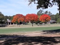 20181029_115737.jpg