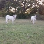 FB_IMG_1548029503406.jpg