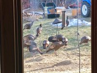 IMG_9560.jpg