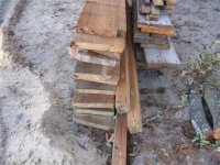 776557-IMG_0080 (Small).JPG