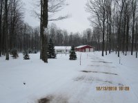 thumbnail (Large).jpg