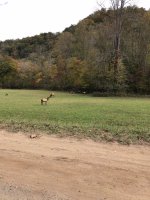 IMG_2522.JPG
