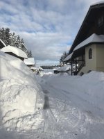 Austria Snow January 2019.jpg