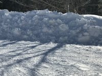 IMG_1096.jpg