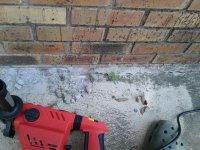 20181002_105151.jpg