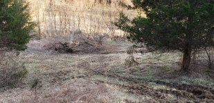 20190318_184314.jpg