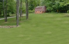 657932-grass.jpg