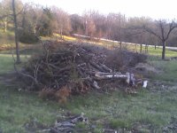 857554-Wood pile1.jpg