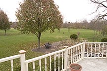 777091-IMG_0615.jpg