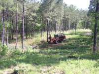 699549-2005 timber 008 (Small).jpg