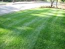 870998-turf.JPG