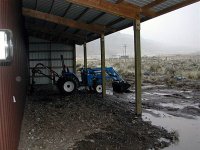 816155-Tractor copy.jpg