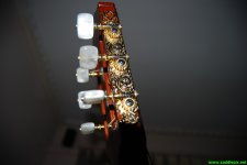 DSC_00205965.JPG