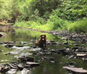 731.GIF