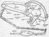TRAPS-TIME-Diagram-of-double-long-spring.jpg