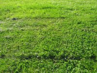 IMG_0005.resized.JPG