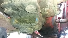 20190406_144910.jpg