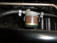 DSC07211.JPG