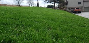 Grass TS354XD Close.jpg