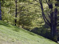 700800-p517018430degreehill.jpg