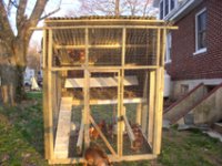 872866-coop2.jpg
