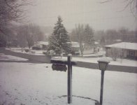 818925-IMAGE0001.JPG
