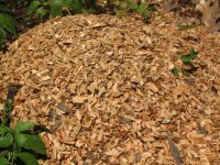 TBN_Wood_Chips.jpg