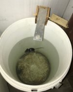 Mouse trap bucket 12-25-17.jpg