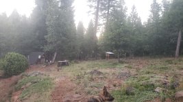 20190619_204219.jpg