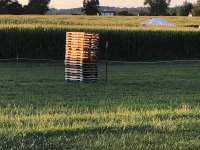 pallets.jpg