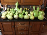IMG_2009.JPG
