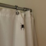 IMG_0315.jpeg
