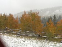 image-1164742549.jpg