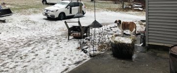 IMG_0424 2.jpeg