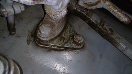 DSC_1341.JPG