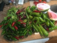 IMG_1837.JPG