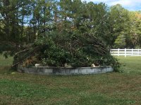 IMG_2025.JPG