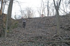 820884-2 6 06woods 2t.jpg