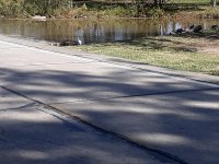 20191109_112034.jpg
