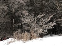 IMG_4764 4.jpeg