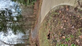 Concrete to rock driveway.jpg