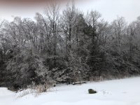 IMG_1175 2.jpeg