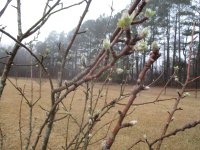 IMG_0127.JPG