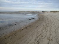 IMG_0074.JPG