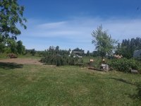 20190609_120233.jpg
