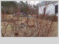 DSCN1246.JPG