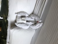 IMG_9736.JPG