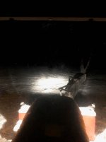 Low Beams.Rjpg.jpg