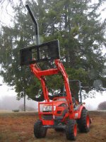 866204-IMG_2918 (450 x 600).jpg